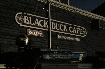 black-duck-1.jpg